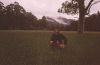 tas1.gif (519027 bytes)